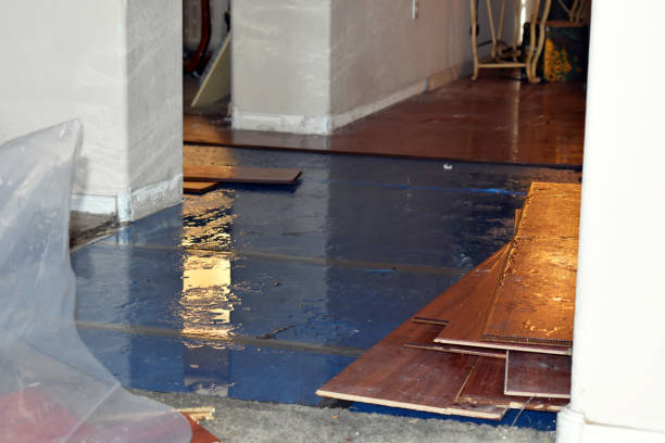 Professional Water Damage Restoration technician working in Viola, NY